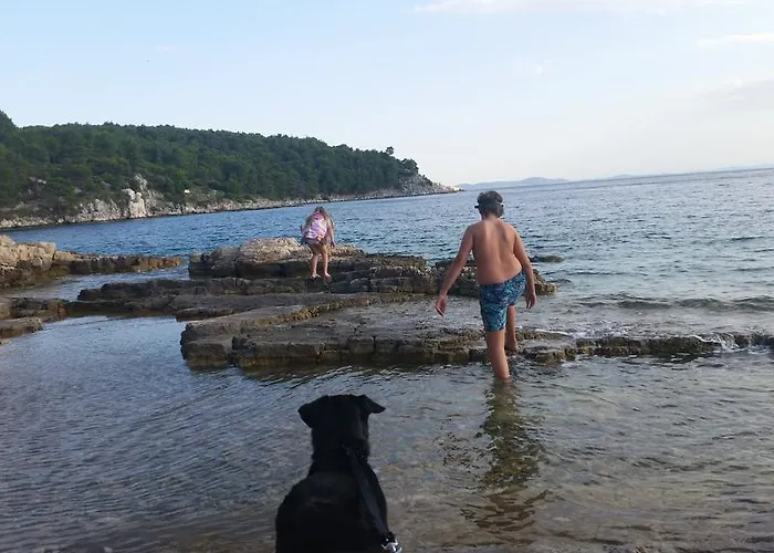 度假居 Holiday Bobovisca Ložišće
