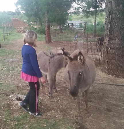 Дом отдыха Holiday Bobovisca *