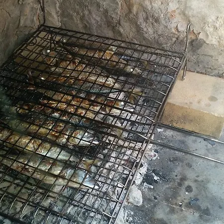 Holiday Bobovisca Lozisce